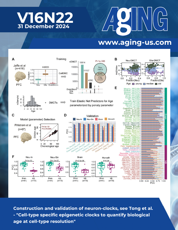 Epigenetic Clocks Reveal Biological Age at Cell-Type Resolution